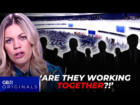 MASSIVE Controversy! The EU’s ‘War’ On ‘Foreign Influence’