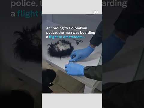 Guess where he’d hidden his smuggled cocaine | DW News
