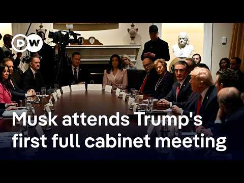 Trump holds first full cabinet meeting – with non-member Elon Musk | DW News
