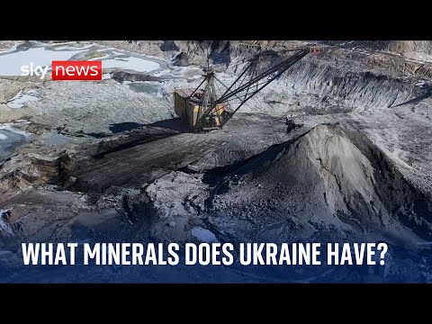 What minerals does Ukraine have and why does Donald Trump want them?
