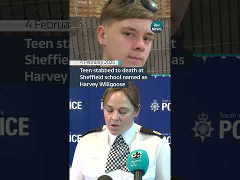 A boy who was stabbed to death in Sheffield has been named locally as Harvey Willgoose #itvnews