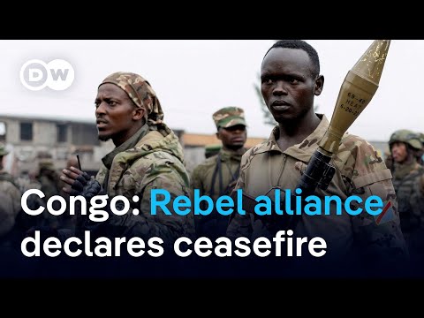 How likely is a ceasefire to hold? | DW News