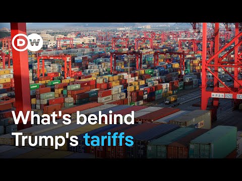 How Trump’s tariffs will impact the global economy | DW News