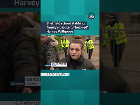Sheffield school stabbing: Family’s tribute to ‘beloved’ Harvey Willgoose
