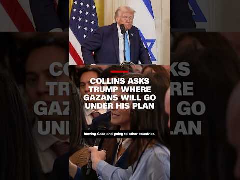 Collins asks Trump where Gazans would go under his plan