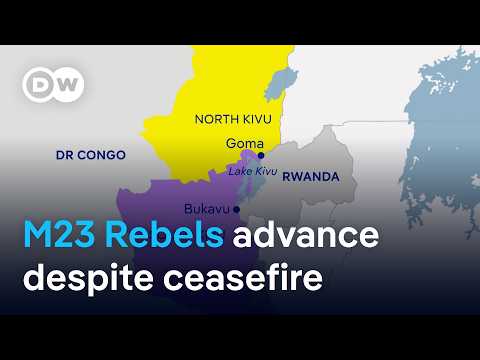 Activists accuse the European Union of fueling the violence in DR Congo | DW News