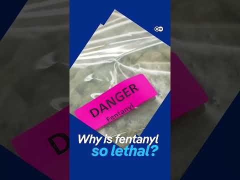 What does fentanyl have to do with Trump‘s Tariffs? | DW News