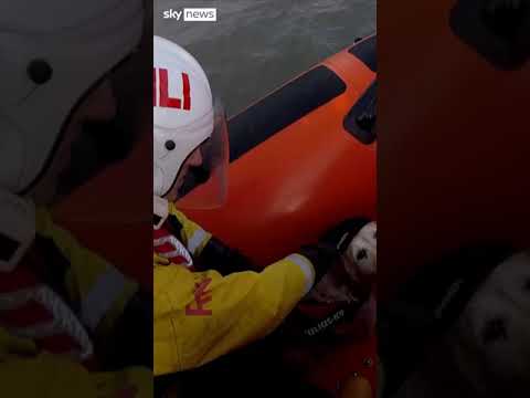 Dog saved from being swept out to sea