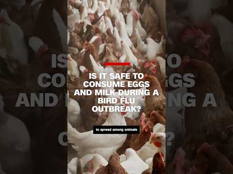 Is it safe to consume eggs and milk during a bird flu outbreak?