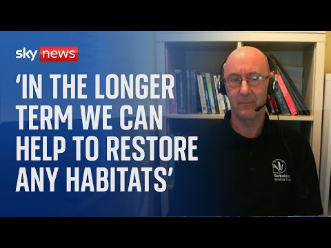 ‘It couldn’t be a worse place for this to happen’, says Yorkshire Wildlife Trust executive