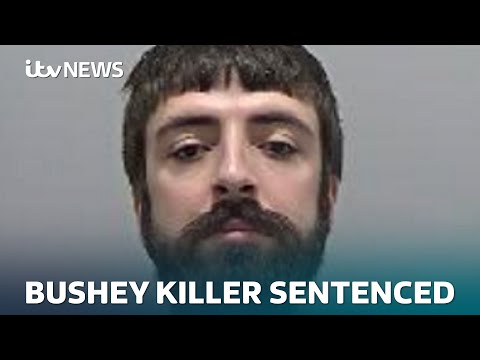 Judge’s full remarks: Bushey killer Kyle Clifford given life in jail (Warning: Distressing details)