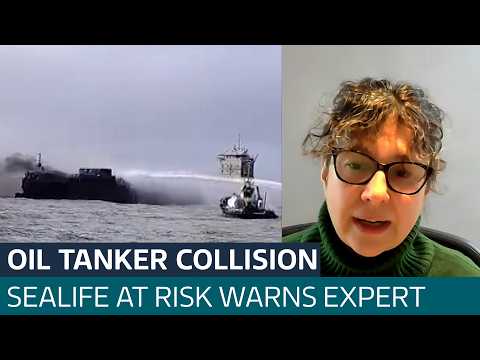 Oil tanker collision could be ‘absolutely catastrophic’ for marine life, expert warns | ITV News