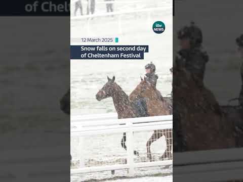 Snow falls on second day of Cheltenham festival #itvnews