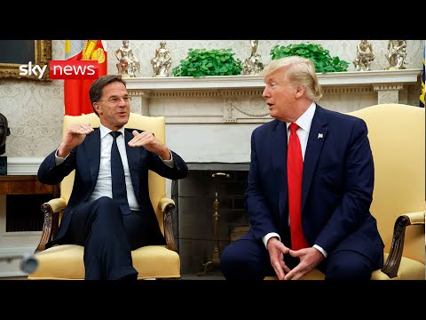 Donald Trump meets NATO chief at White House