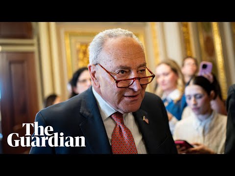 Schumer indicates he will vote against shutdown to ‘minimise harm to the American people’