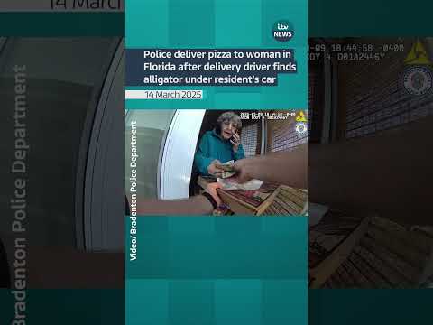 Police officer in Florida delivers pizza after delivery driver finds alligator under customer’s car