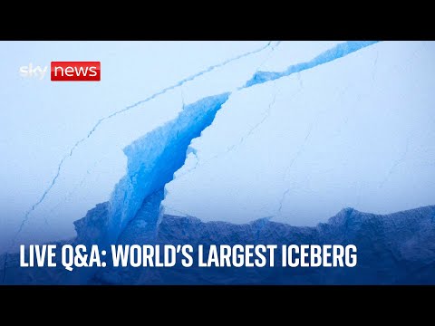 World’s largest Iceberg live Q&A │Our Science and Tech Editor Tom Clarke answers your questions
