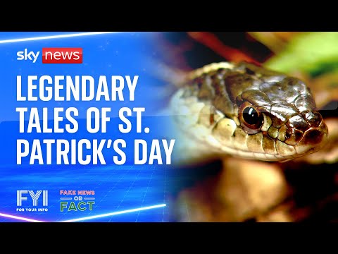 FYI Fake News or Fact: Legendary tales of St Patrick’s Day