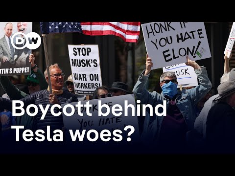 Is Tesla suffering from Musk taking on government role? | DW News