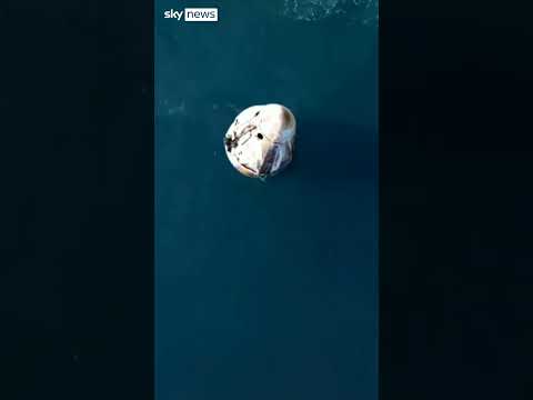 Dolphins greet returning astronauts