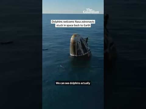 Dolphins welcome Nasa astronauts stuck in space back to earth #nasa #spacex #spacexdragon