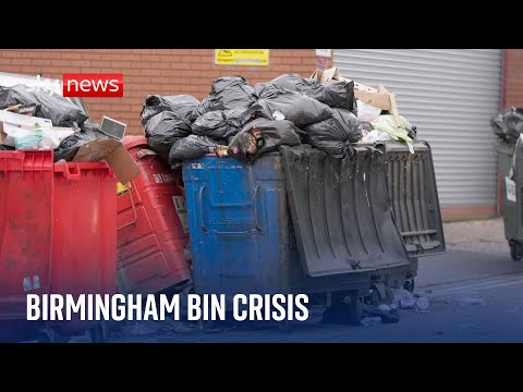 As Birmingham grapples with bin strikes and ‘rats as big as cats’, councils fear further cuts