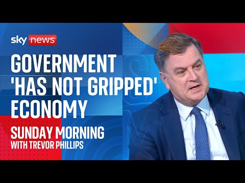 ‘Across 14 years, the Conservatives did things that were absolutely right,’ says Mel Stride