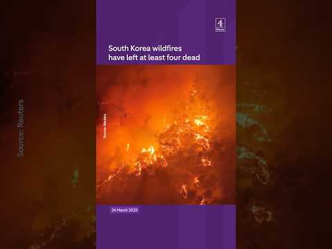 South Korea: Wildfires leave four dead