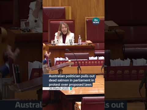 Australian politician pulls out dead salmon in parliament in protest over proposed laws #itvnews