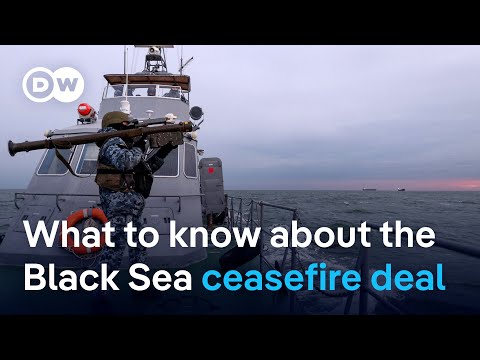 Zelenskyy casts doubt on ceasefire agreements | DW News