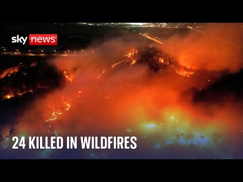 ‘Worst ever’ wildfires rage in South Korea, killing at least 24 people