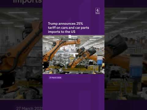 25% tariff on US car imports