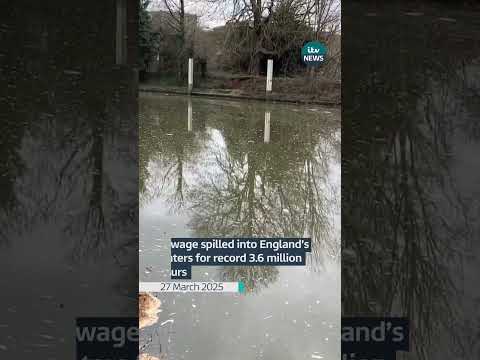 Water companies released raw sewage into England’s rivers for 3.61million hours #environment