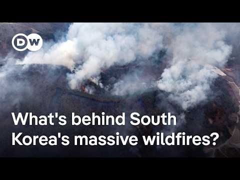 Largest ever South Korea wildfires threaten regional population centres and UNESCO heritage sites