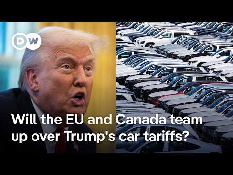 Ex-EU trade chief says Trump’s car tariffs will hurt Americans too | DW News