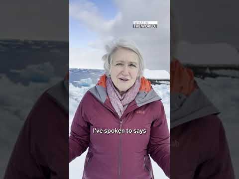 Why is Greenland in the middle of a political storm?