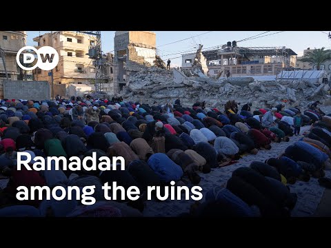 Hamas agrees to Gaza ceasefire proposal, Israel offers counterproposal | DW News