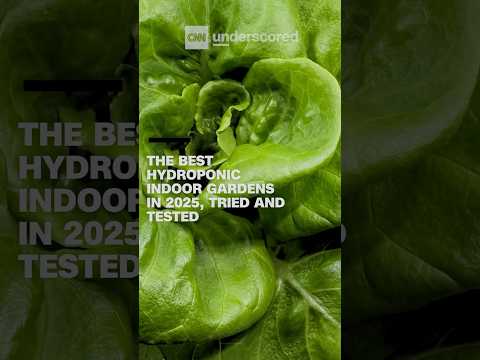 The best hydroponic indoor gardens in 2025, tried and tested