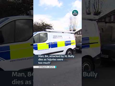 Man, 84, attacked by XL Bully dies as ‘injuries were too much’ | ITV News