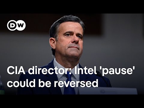 How might US’ freeze on intel-sharing with Ukraine sway Zelenskyy’s negotiating position? | DW News