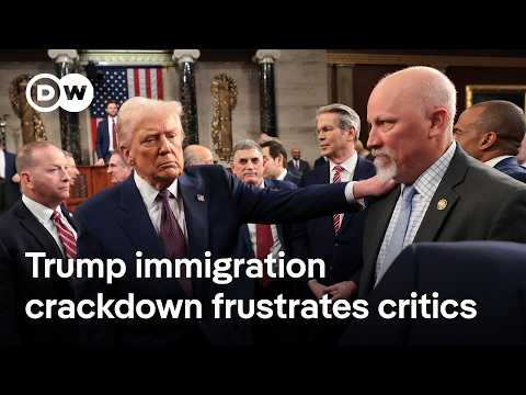 What is the legal status of private militias patrolling the US border? | DW News