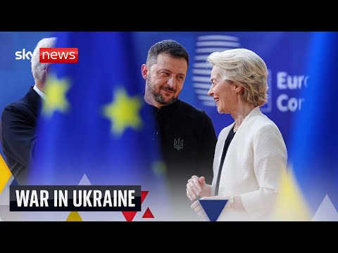 Zelenskyy joins European leaders for emergency Ukraine talks