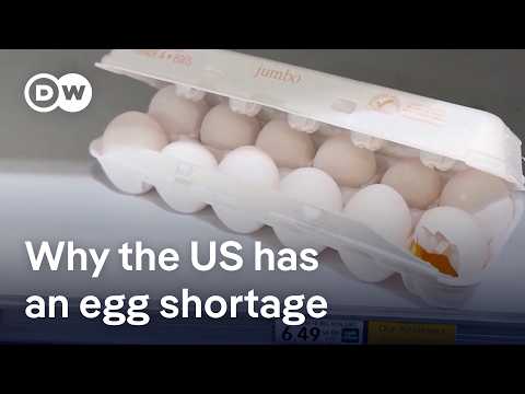 Why Trump can’t bring down prices in the US | D W News