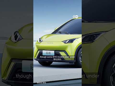 How China’s BYD is beating Tesla | DW News