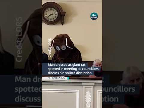 A Birmingham resident in a rat costume was spotted in the public gallery #itvnews #birmingham
