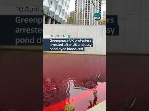 Six people have been arrested after a pond was dyed red in London #itvnews #london