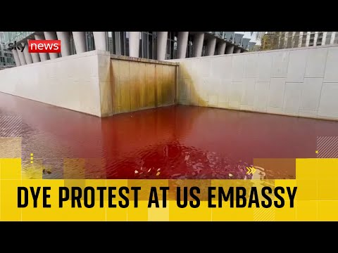 Arrests made after dye dumped into US embassy pond in Israel arms sales protest