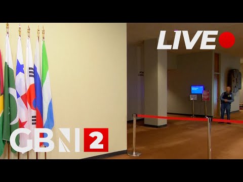 WATCH LIVE: U.N. Security Council holds emergency meeting on Syria strikes
