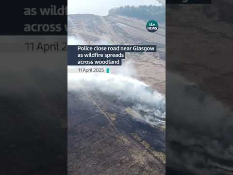 A wildfire that broke out in Cumbernauld spread overnight across a wooded area #itvnews