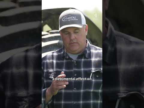 US workers ‘taken advantage of for generations’ – pro-Trump farmer